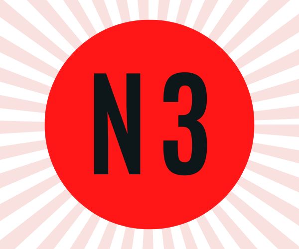 N4 - Intermediate level