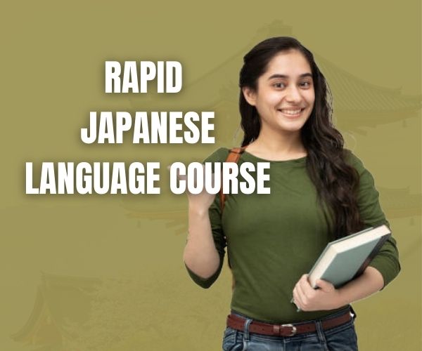 N4 - Intermediate level